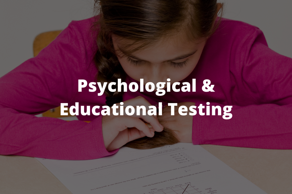 Abilities Reimagined Psychological & Educational Testing